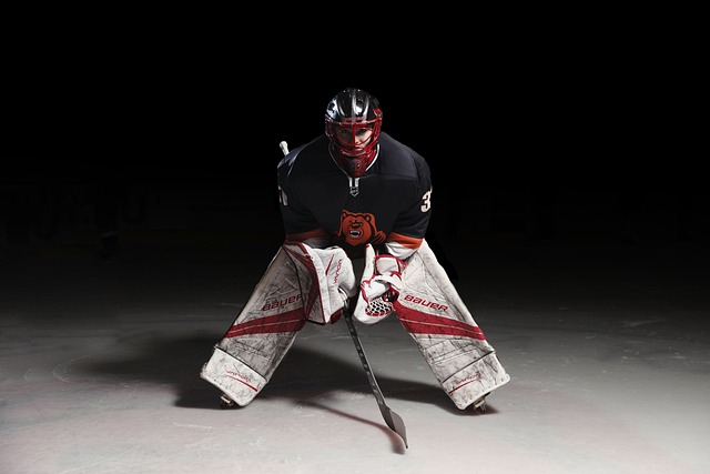 Fra sofaen til stadion: Sådan får du det meste ud af ishockey live